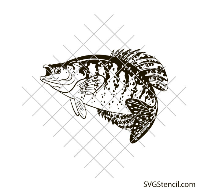 Crappie fish svg, Simple fish svg