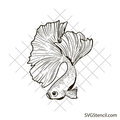 Betta fish svg | Aquarium fish svg