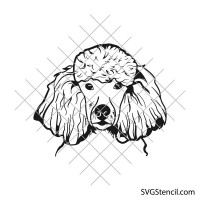 Poodle svg | Standard poodle svg