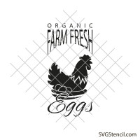 Farm fresh eggs svg | Chicken	organic svg