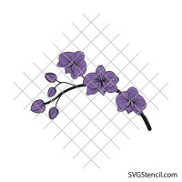 Orchid branch svg | Orchids flower svg