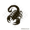 Scorpion outline svg | Scorpio silhouette svg | Scorpion drawings
