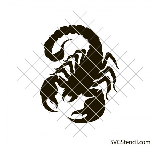 Scorpion outline svg | Scorpio silhouette svg | Scorpion drawings