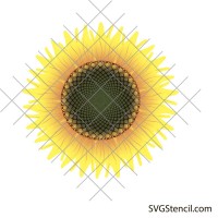 Sunflower clipart svg