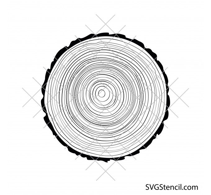 Tree trunk slice svg | Wooden log svg | Wood decor svg