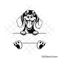 Weenie dog monogram svg | Funny puppy name svg | Long haired dachshund svg