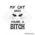 Funny cat quote svg | Sassy cat eyes cut file | Sarcastic pet lover cricut design