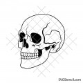 Human skull svg | Skull head svg | Gothic skull clipart