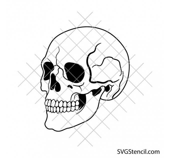 Human skull svg | Skull head svg | Gothic skull clipart