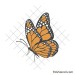 Layered butterfly svg