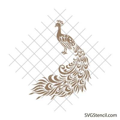 Peacock svg | Peacock zentangle svg