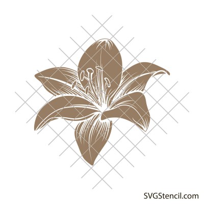 Tiger lily svg | Lily flower outline svg
