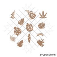 Set of palm leaf svg | Tropical leaves svg